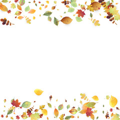 Leaves Falling Autumn Foliage Chaotic Leaf Flying