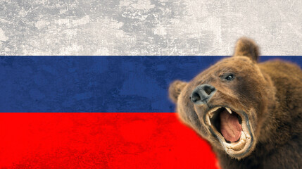 Angry bear growls on the background of the Russian flag