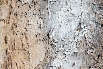 old wooden surface object texture natural color