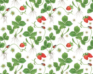 Watercolor painting summer seamless pattern with strawberry, ladybug and white flowers © ramiia