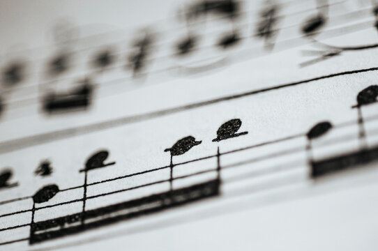 Macro photo of complicated sheet music in bass and treble clef for piano with Italian notation