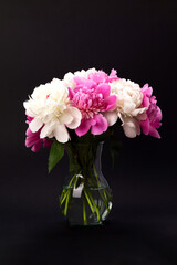 Bouquet of pink and white peonies in glass vase on black background. Floral card design
