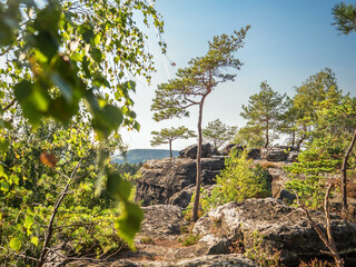 Lampertstein in der Sächsischen Schweiz - Aussicht am Lampertshorn Richtung Bernhardstein