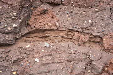 Pebbles embedded in a soil cliff face