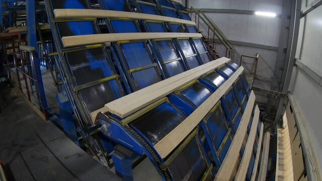 Woodworking production with computerized automatic equipment. The boards are moving along a conveyor belt in the factory.
