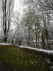 river in the park in the winter