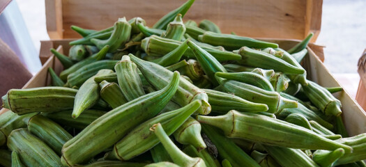 Okra in a Box at the Market Close Up