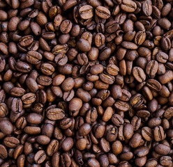Coffee Beans Close Up View