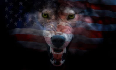 Zelfklevend Fotobehang American flag projected onto the muzzle of a wolf © elen31