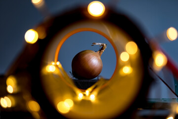 Fototapeta na wymiar An onion with lights and decorations