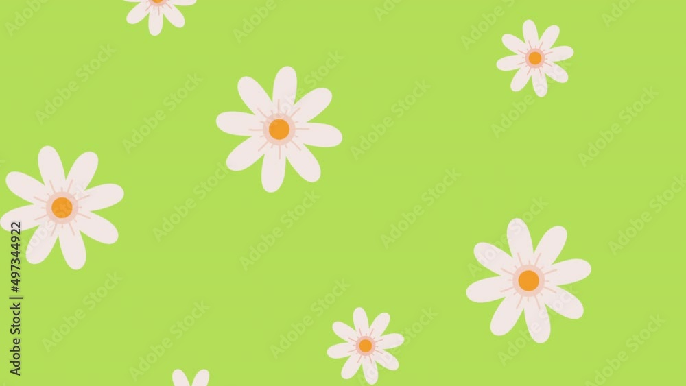 Poster white flowers pattern in green background