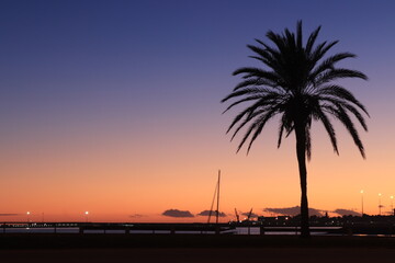 Paseo marítimo  al atardecer con palmera en contraluz 