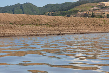 Bogota River (Colombia)