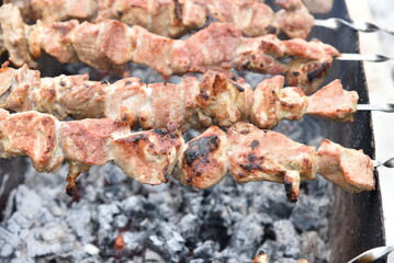 Pork meat shish kebab on a fire on coals