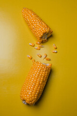 Yellow and ripe corn lies on a yellow background. rich autumn harvest.