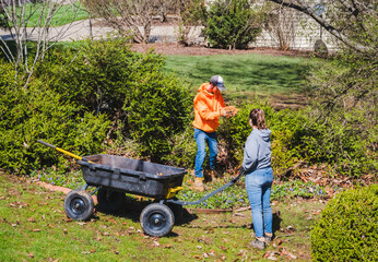 Young man and woman landscapers mulching flower bed in Midwestern suburburb; woman pulling 
wheelbarrow with mulch and man spreading mulch - obrazy, fototapety, plakaty