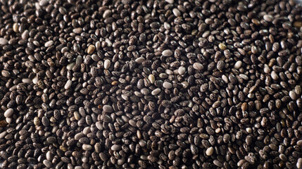 Chia seeds. Macro. Raw unprocessed whole dried black chia seed