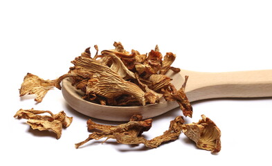 Dried chanterelle mushroom in wooden spoon, (Cantharellus cibarius) isolated on white