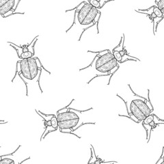 Seamless pattern of monochrome ground beetles illustration. Vector illustration template