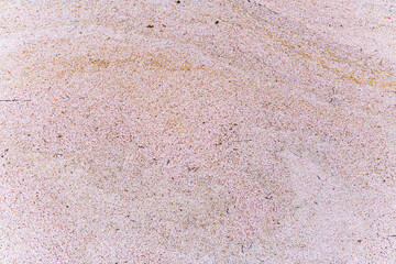 桜, 春、目黒川