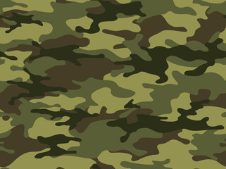 Camouflage seamless pattern. Military texture. Print on fabric and clothing. Vector illustration