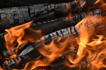 Blazing firewood in the fire coals