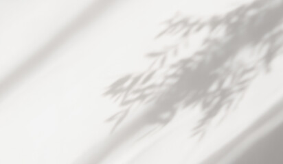 Abstract silhouette shadow white background of natural leaves tree branch falling on wall. Transparent blurry shadow leaf in morning sun light. Copy space for text.