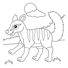 Numbat Animal Coloring Page for Kids