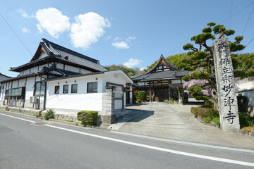 Fototapeta premium 津山城下 城東界隈 妙浄寺 岡山県津山市