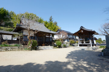 Obraz premium 津山城下 城東界隈 大信寺 境内 岡山県津山市
