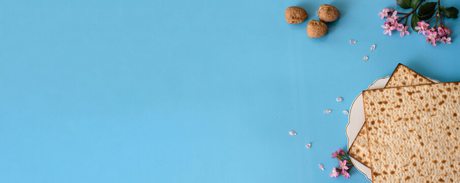 Banner. Layout of Traditional Matzah prepared for Passover with Matzah on plate, walnuts and pink flowers on blue background. top view. Spring Holiday of Jewish people. Fasting time