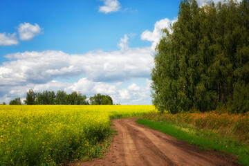 Fototapeta na wymiar Landscape with the road along a field of the blossoming colza to the sunny summer day