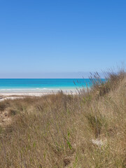 Fototapeta na wymiar sand dunes and white beach