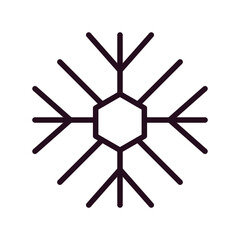 Snowflake Icon