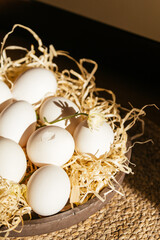Fototapeta na wymiar Eggs in a nest