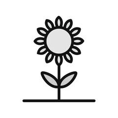 Sunflower Icon