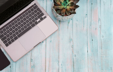 open laptop computer on wooden bluish background and a cell phone and agave flower top view