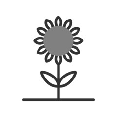 Sunflower Icon