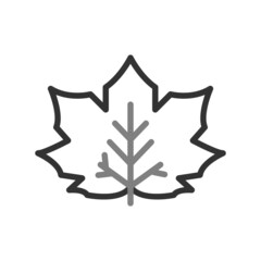 Obraz premium Maple Leaf Icon