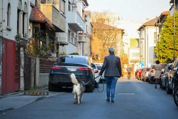 street photography. woman walking her dog on a sunny afternoon.