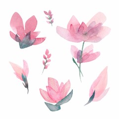 Set of floral branch. Flower pink rose, green leaves. Wedding concept with flowers. Floral poster, invite. Vector arrangements for greeting card or invitation design