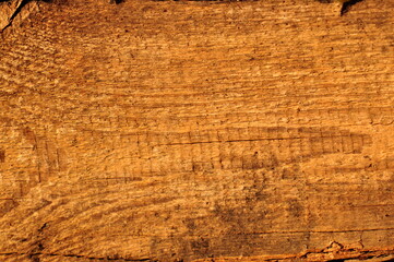 Wood texture background. Closeup of wood panel surface.