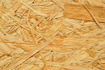 Wood texture background. Closeup of wood panel surface.