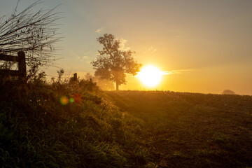 Fototapeta na wymiar Sunrise Over Field with a Lone Tree | Amish Country, Ohio