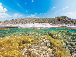 Colorful seabed in Sardinia in split underwater view
