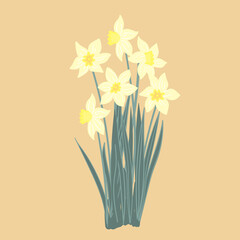 Big bunch of yellow narcissus with green leaves. Cartoon narcissus bouquet. Garden daffodil flower isolated on white background. Doodle vector illustration.
