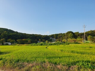 Beautiful rural scenes of Korea