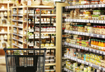 empty grocery cart in an empty supermarket