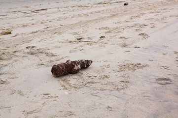 A misfire on a Baltic beach found after a storm, close to the Katy Rybackie and Gdansk, winter 2022.