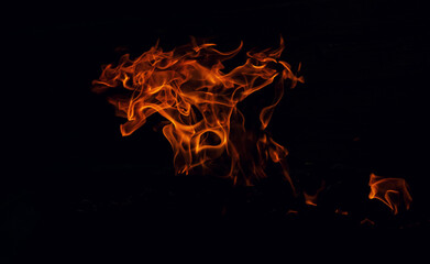 Fire flames on a dark background. Bright image of fire.